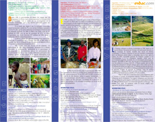 Catalogue, Brochure-B -Enbac